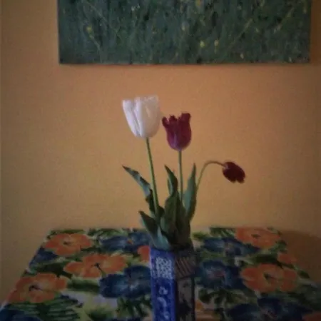 Pippo House Scandicci